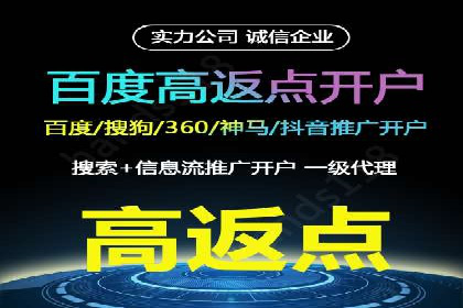 百度竞价与搜索引擎优化（SEO）的协同效应案例